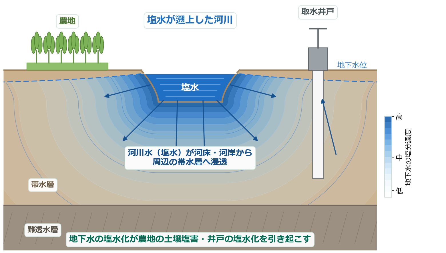 河川の塩水化が周辺の土壌・地下水に広がる模式図